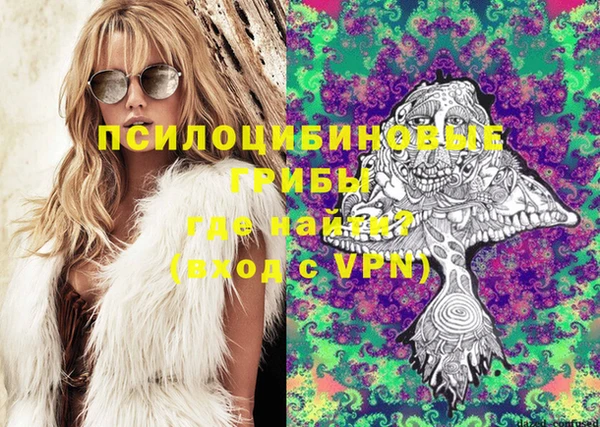 крисы Богданович