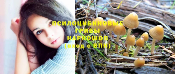 а пвп мука Богородицк