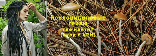 крисы Богданович